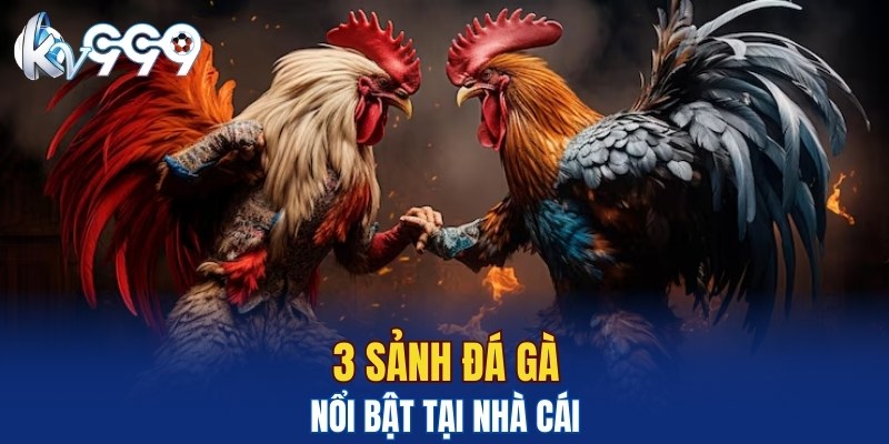 3 sảnh đá gà nổi bật tại nhà cái