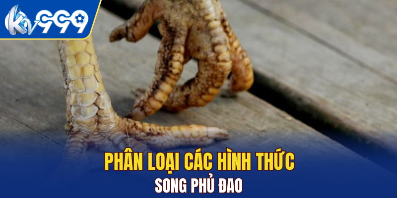 Phân loại các hình thức song phủ đao