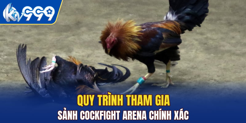 Quy trình tham gia sảnh Cockfight Arena chính xác