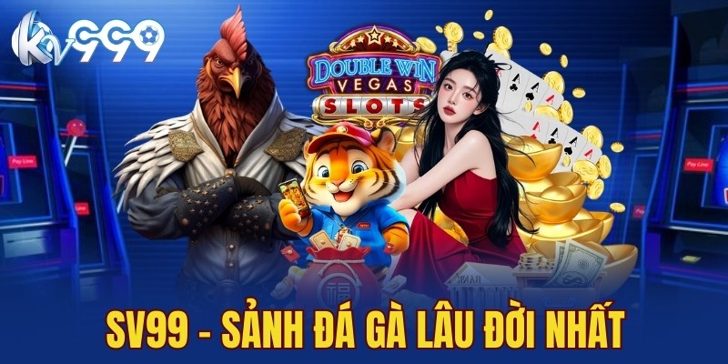 SV99 là một trong những sảnh đá gà lâu đời nhất