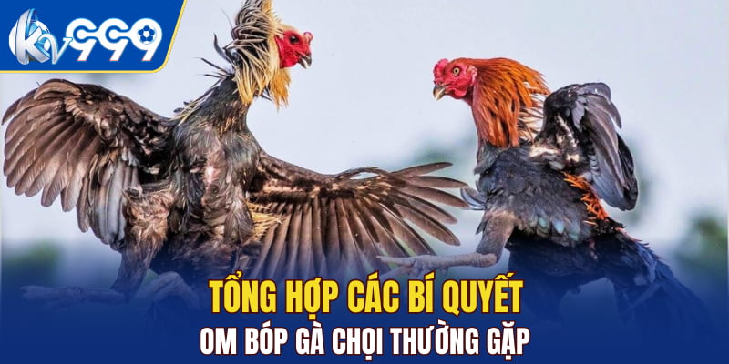Tổng hợp các bí quyết om bóp gà chọi thường gặp