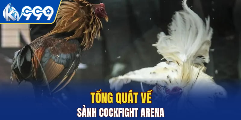 Tổng quát về Sảnh Cockfight Arena
