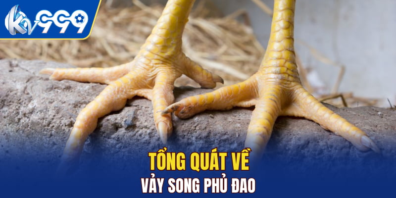 Tổng quát về vảy song phủ đao